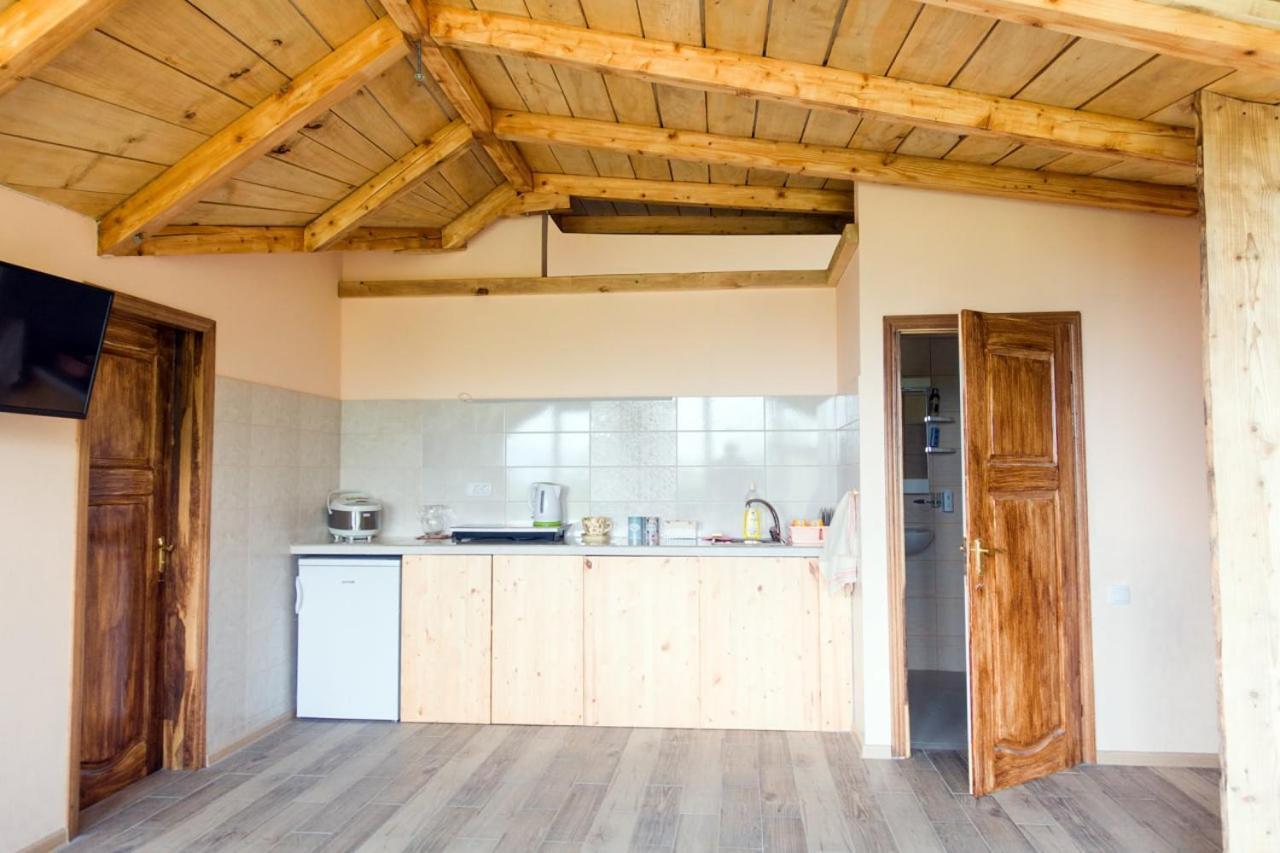 Irina Guest House Соко Баня Екстериор снимка