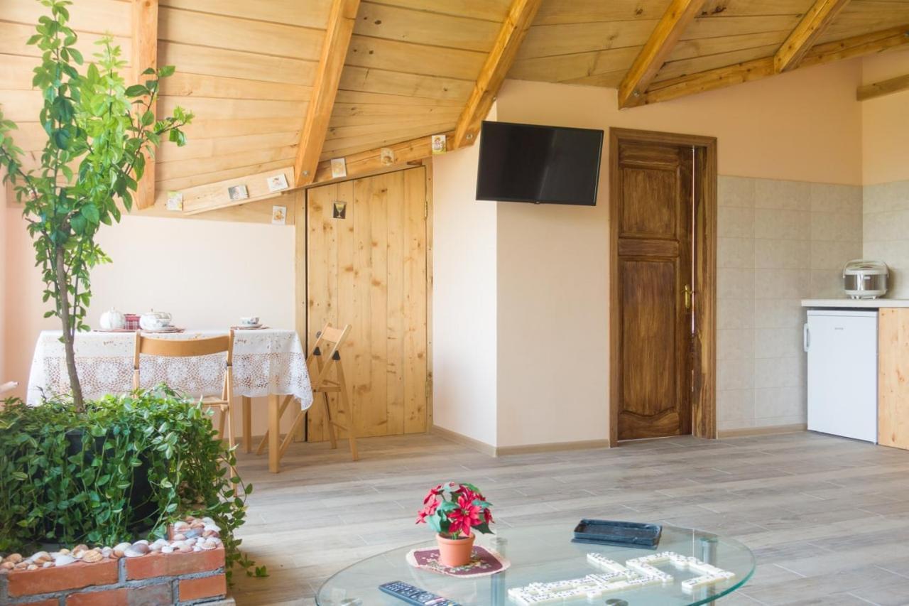 Irina Guest House Соко Баня Екстериор снимка